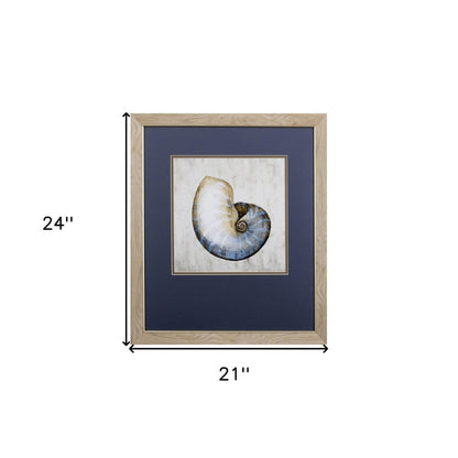 Set of Two Ocean Seashells Wall Art