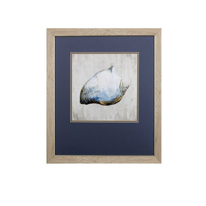 Set of Two Ocean Seashells Wall Art