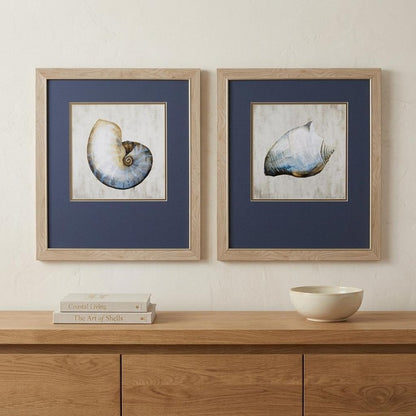 Set of Two Ocean Seashells Wall Art